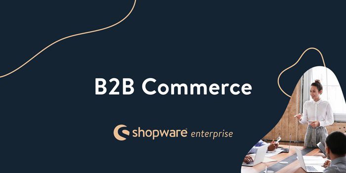 Shopware Enterprise B2B
