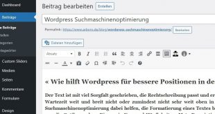 Screenshot Wordpress Suchmaschinenoptimierung