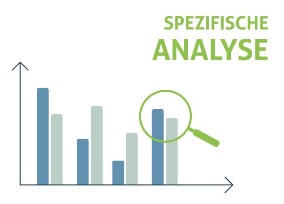 SEO Analyse