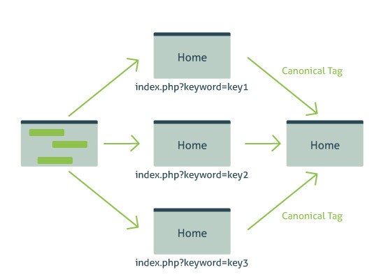 Canonical Tag