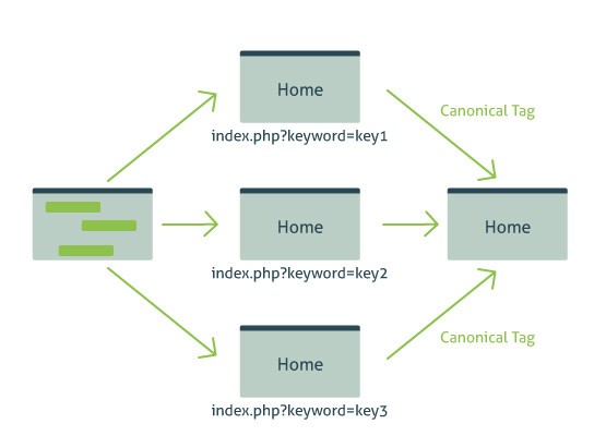 Canonical Tag