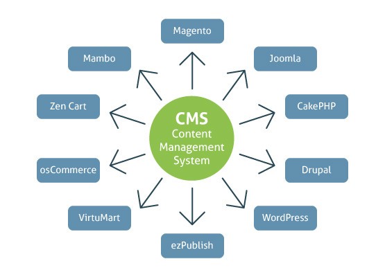 Content Management System