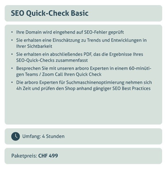 SEO-Check-Up Mobile1