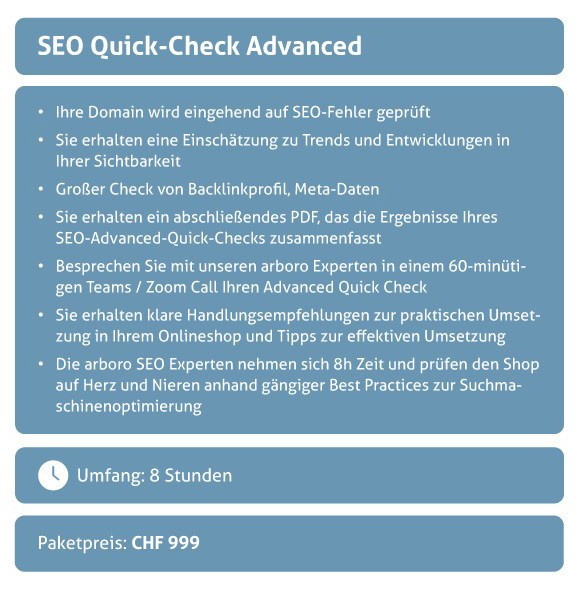 SEO-Check-Up Mobile2